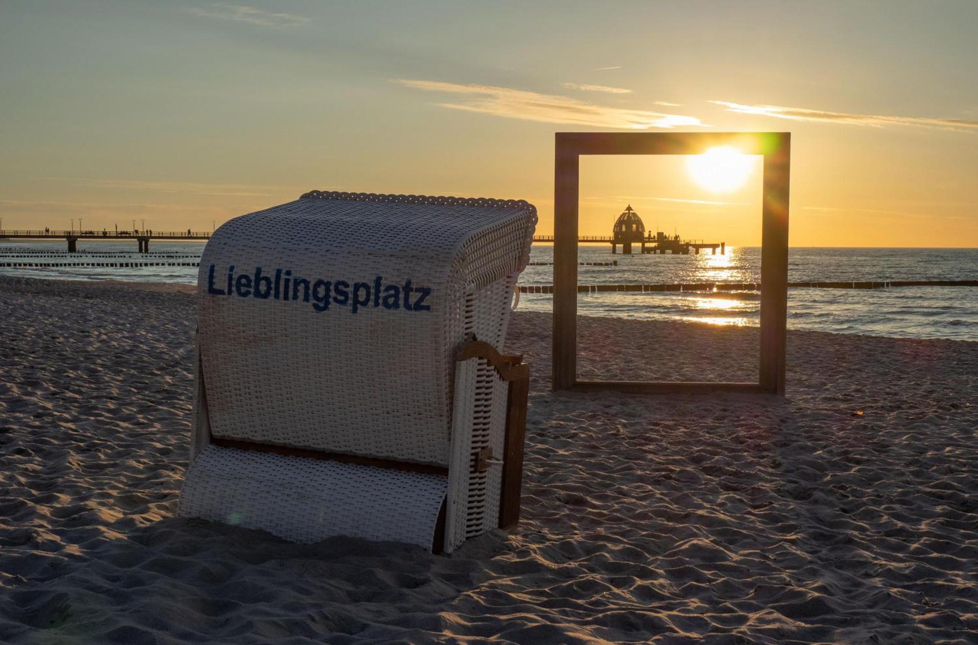 Kranichtanz An Der Seebruecke Zingst