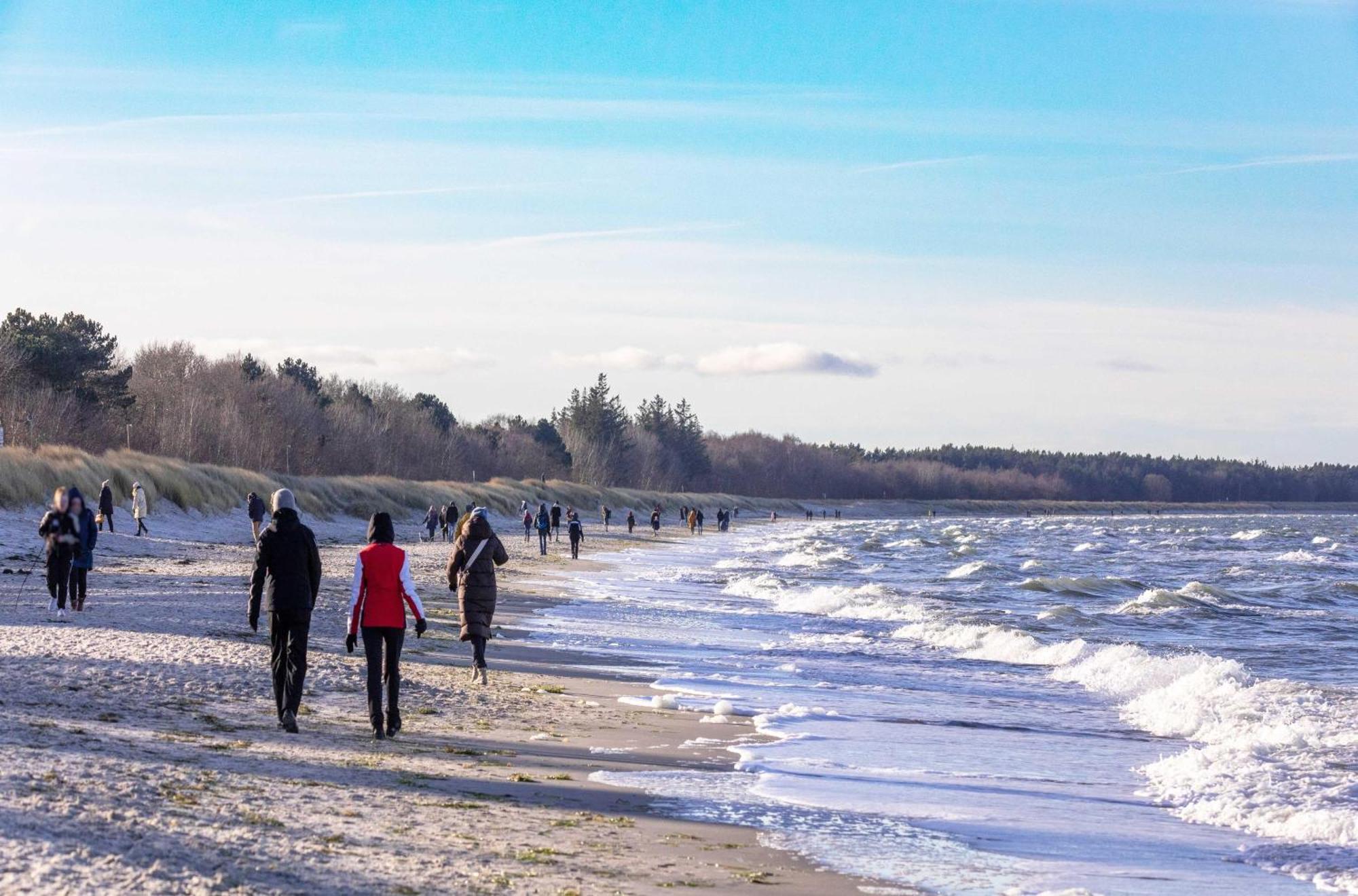 Kranichtanz An Der Seebruecke * Zingst